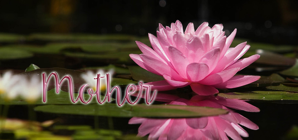 Pink Lotus Mother